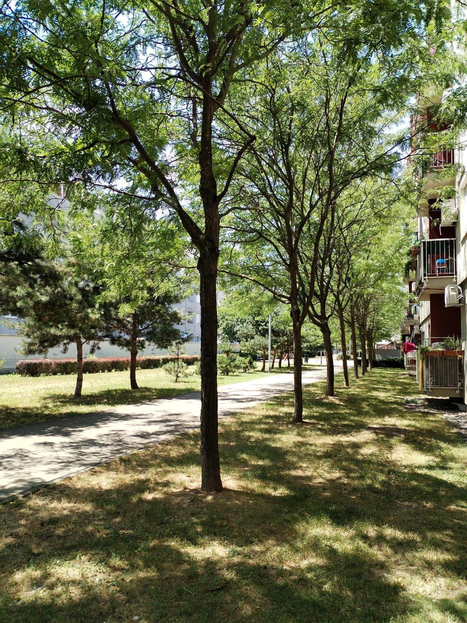 Apartman Ivana Zagreb Exteriör bild